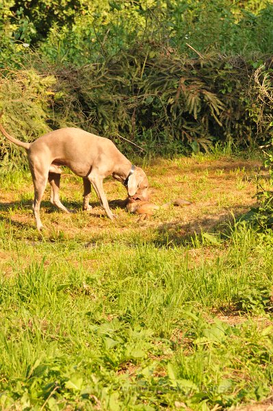 DSC 2355.JPG