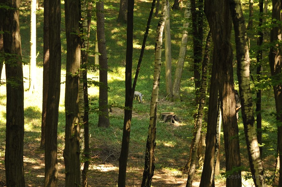 DSC 2502.JPG