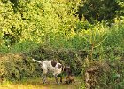 DSC_2285.JPG.jpg