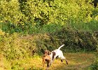 DSC_2286.JPG.jpg