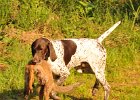 DSC_2287.JPG.jpg