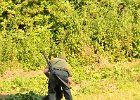 DSC_2293.JPG.jpg