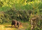 DSC_2296.JPG.jpg