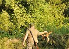 DSC_2306.JPG.jpg