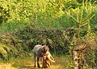 DSC_2311.JPG.jpg