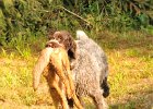 DSC_2313.JPG.jpg