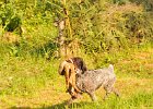 DSC_2314.JPG.jpg