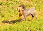 DSC_2315.JPG.jpg