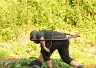 DSC_2319.JPG.jpg