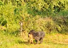 DSC_2325.JPG.jpg