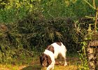 DSC_2334.JPG.jpg