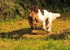 DSC_2335.JPG.jpg