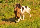 DSC_2337.JPG.jpg