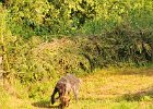 DSC_2344.JPG.jpg