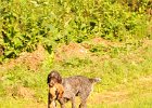 DSC_2346.JPG.jpg