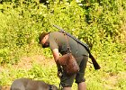 DSC_2348.JPG.jpg