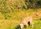 DSC_2354.JPG.jpg