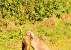 DSC_2359.JPG.jpg