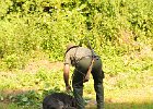 DSC_2361.JPG.jpg