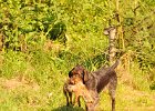 DSC_2367.JPG.jpg