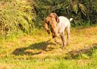 DSC_2374.JPG.jpg