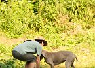 DSC_2386.JPG.jpg