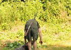 DSC_2387.JPG.jpg