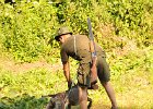 DSC_2390.JPG.jpg