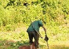 DSC_2394.JPG.jpg