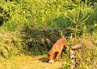 DSC_2400.JPG.jpg
