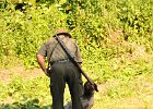 DSC_2407.JPG.jpg