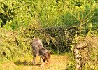 DSC_2420.JPG.jpg