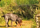 DSC_2421.JPG.jpg