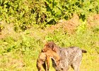 DSC_2423.JPG.jpg