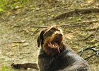 DSC_2467.JPG.jpg