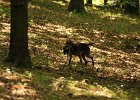 DSC_2484.JPG.jpg