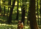 DSC_2489.JPG.jpg