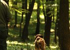 DSC_2490.JPG.jpg