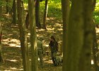 DSC_2501.JPG.jpg