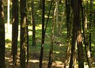 DSC_2502.JPG.jpg