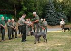 DSC_3442.JPG.jpg