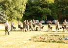 DSC_4478.JPG