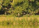 DSC_5511.JPG