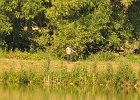 DSC_5512.JPG