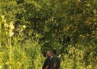 DSC_5522.JPG