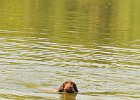 DSC_5535.JPG