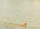 DSC_5545.JPG