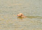 DSC_5546.JPG