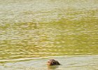 DSC_5551.JPG