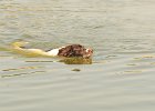 DSC_5554.JPG